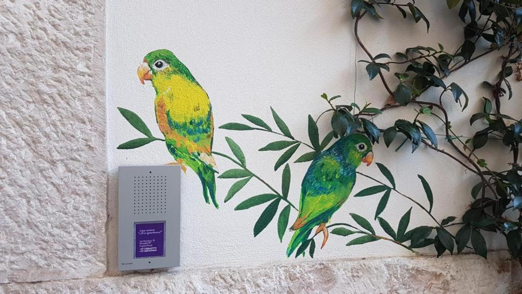 Iris Apartment, Comfort E Stile Nel Cuore Di Bisceglie Dış mekan fotoğraf